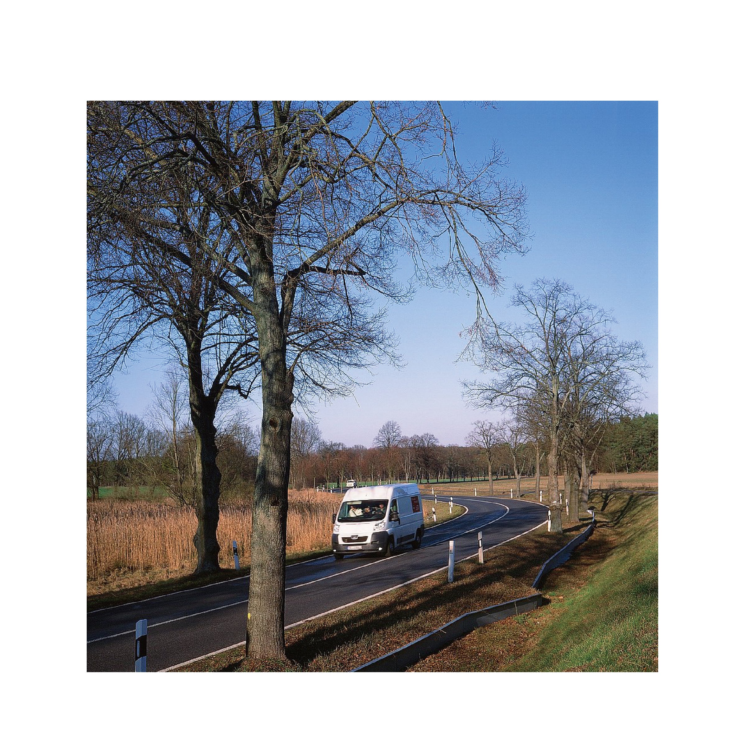 Fujifilm Fujichrome Velvia 50 120 format (5 Rolls Package)