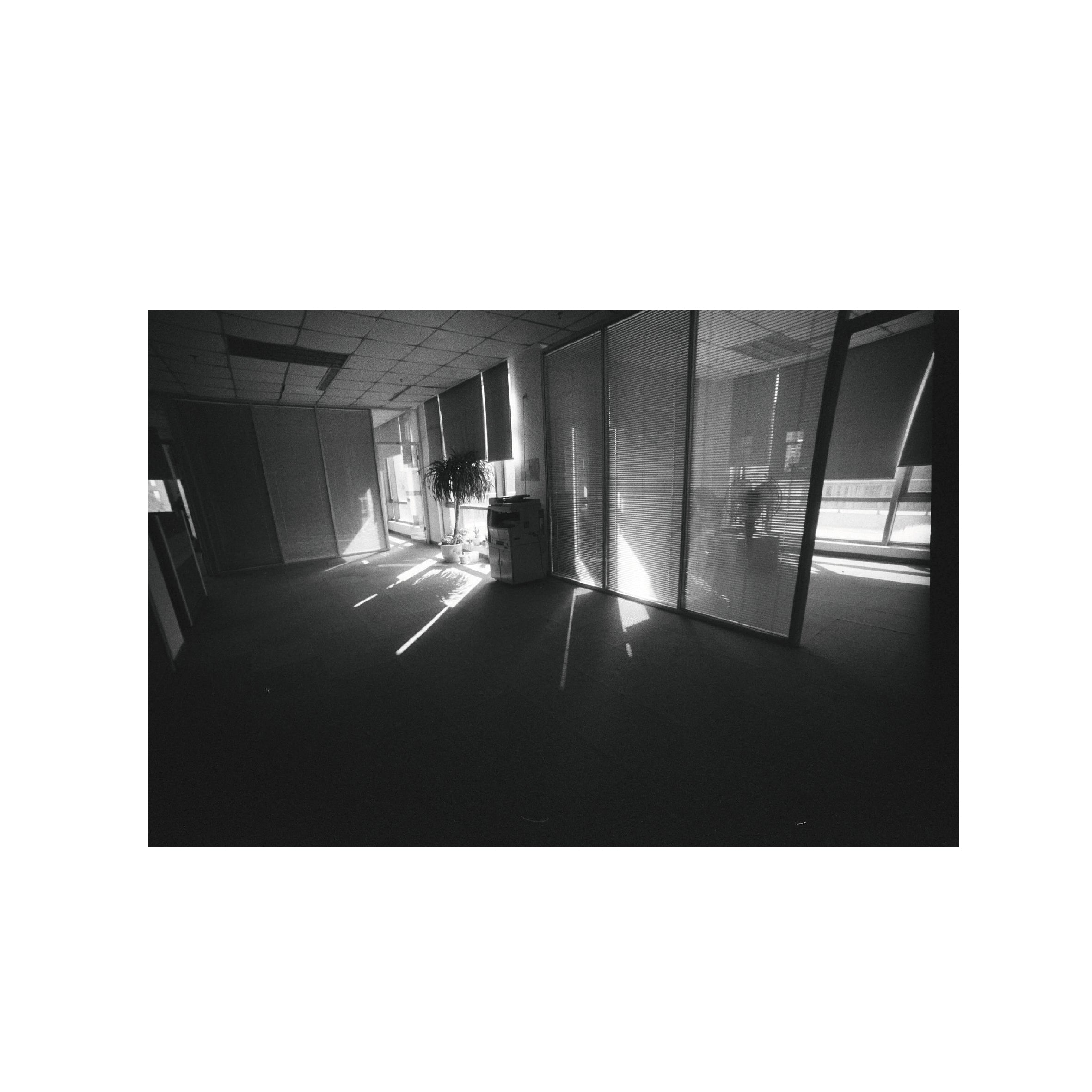 Vibe Photo 400 B&W