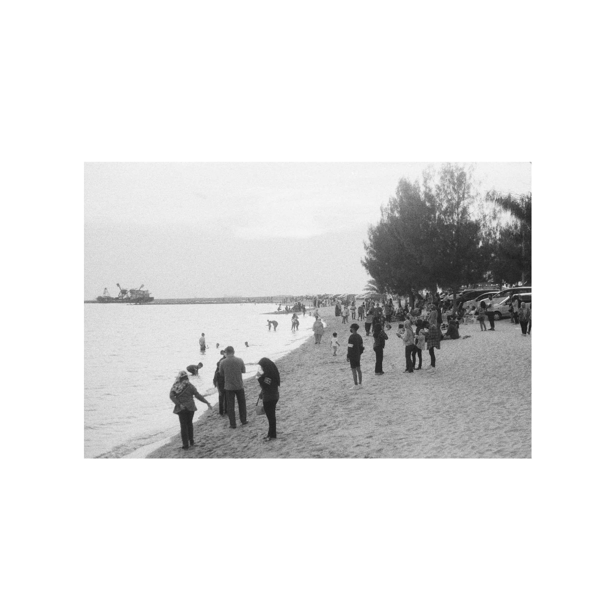 Vibe Photo 400 B&W