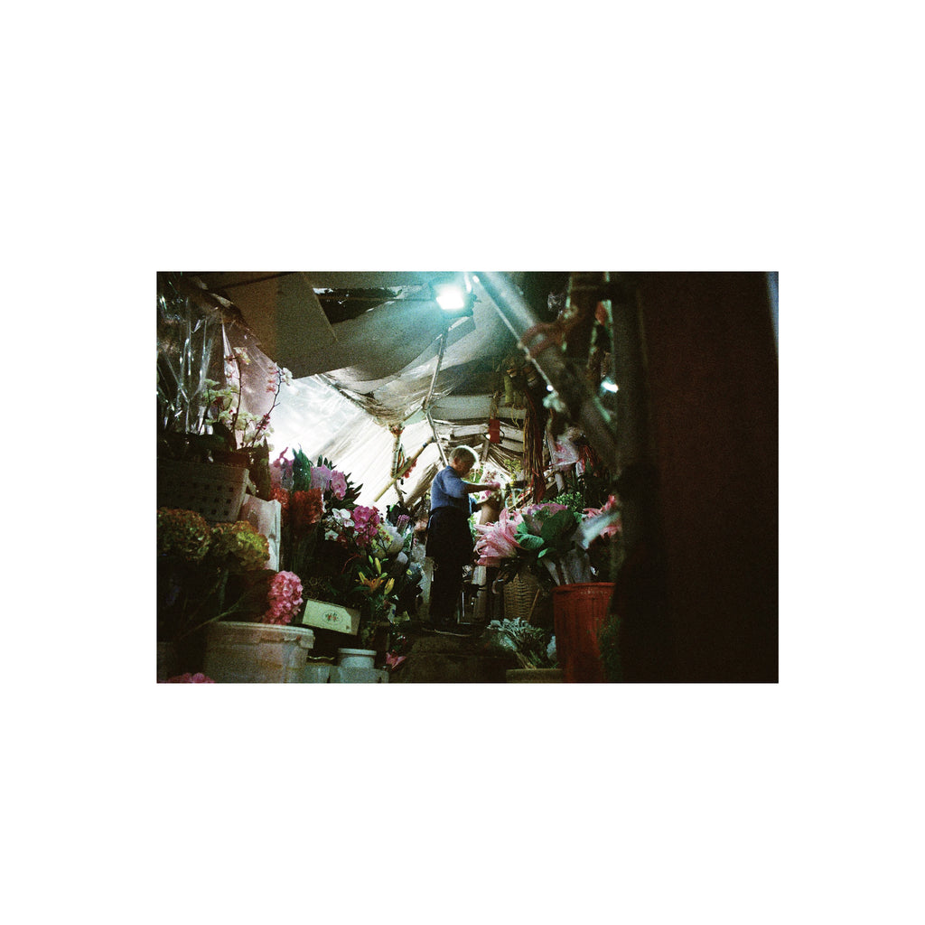 Vibe Photo 400