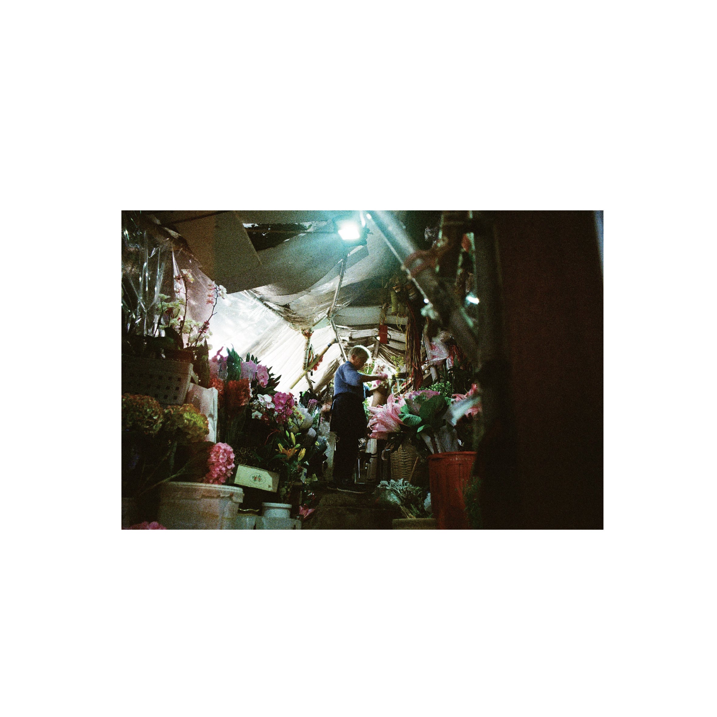 Vibe Photo 400