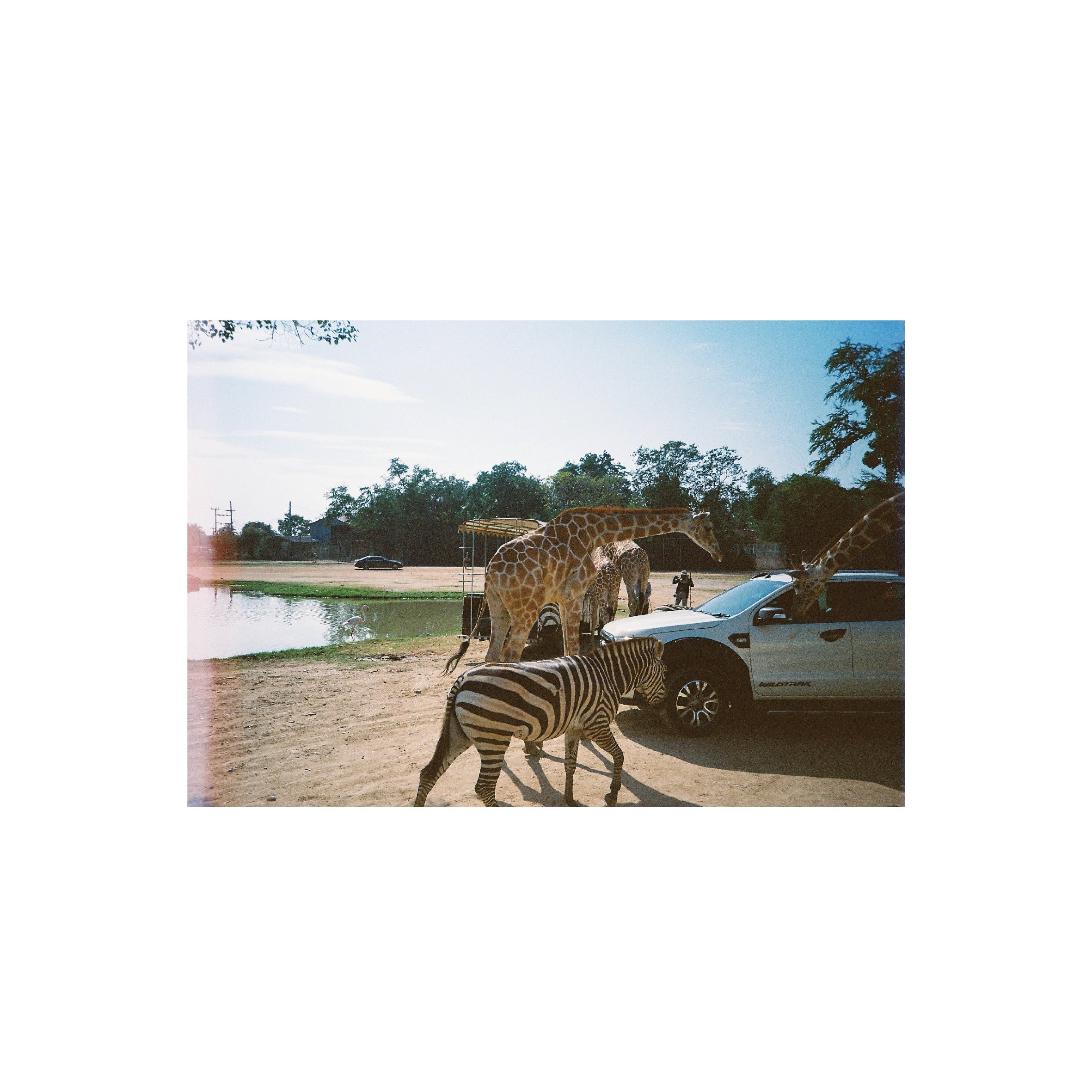 Vibe Photo 400