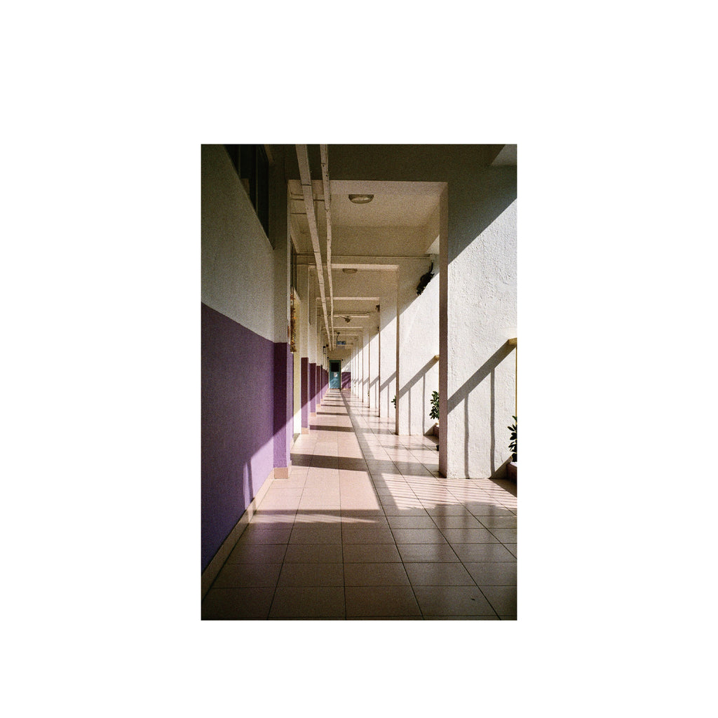 Vibe Photo 400