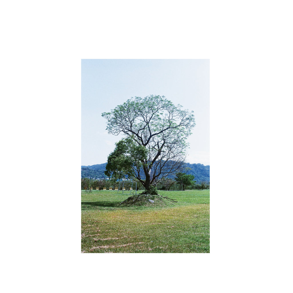 Vibe Photo 400
