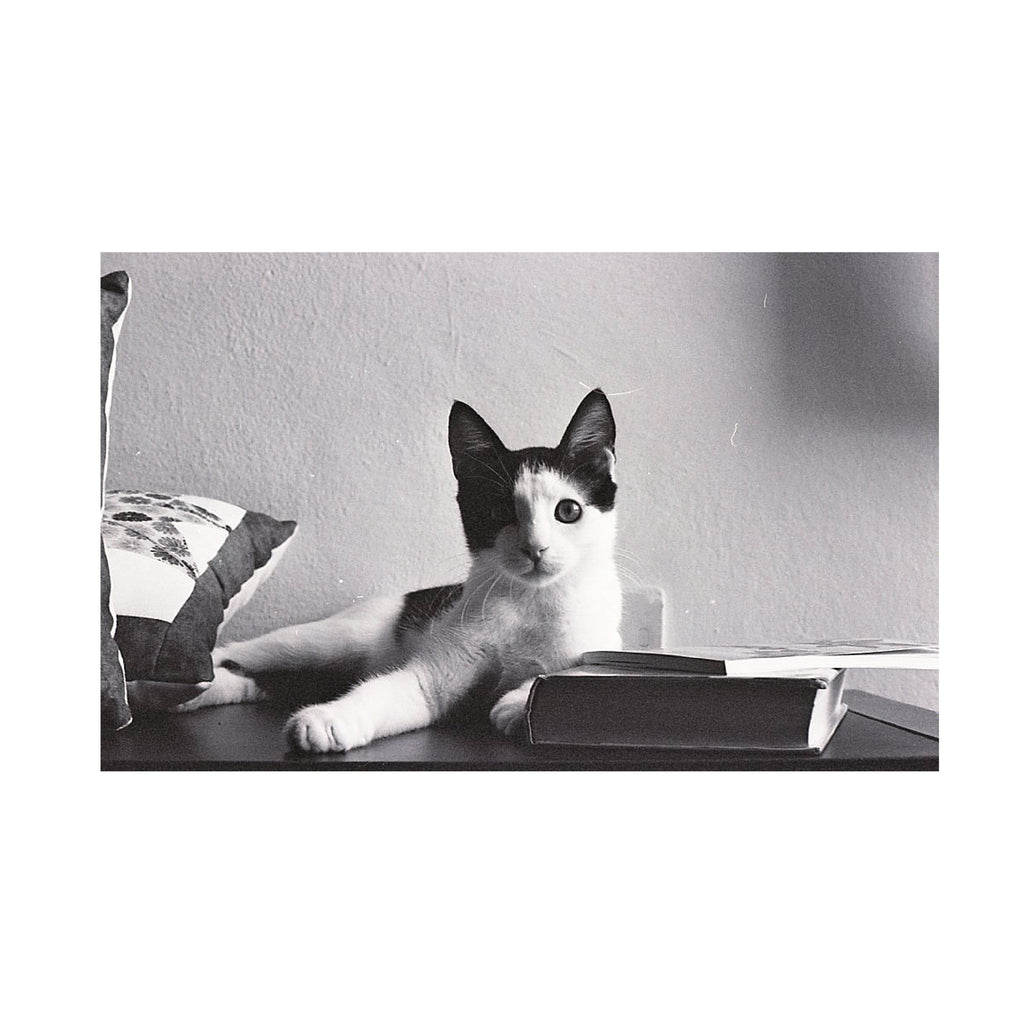 Ilford XP2 Super 400