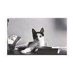 Ilford XP2 Super 400
