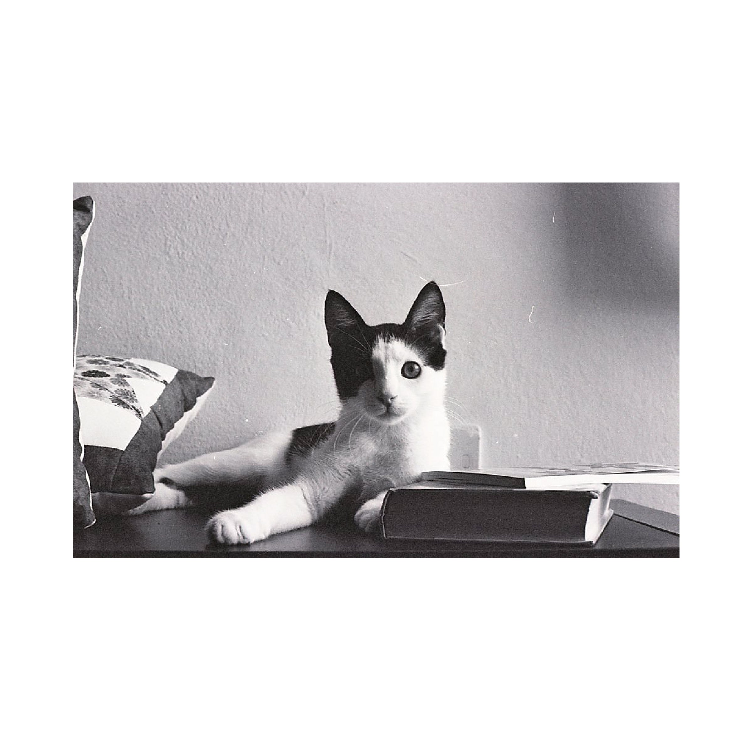 Ilford XP2 Super 400