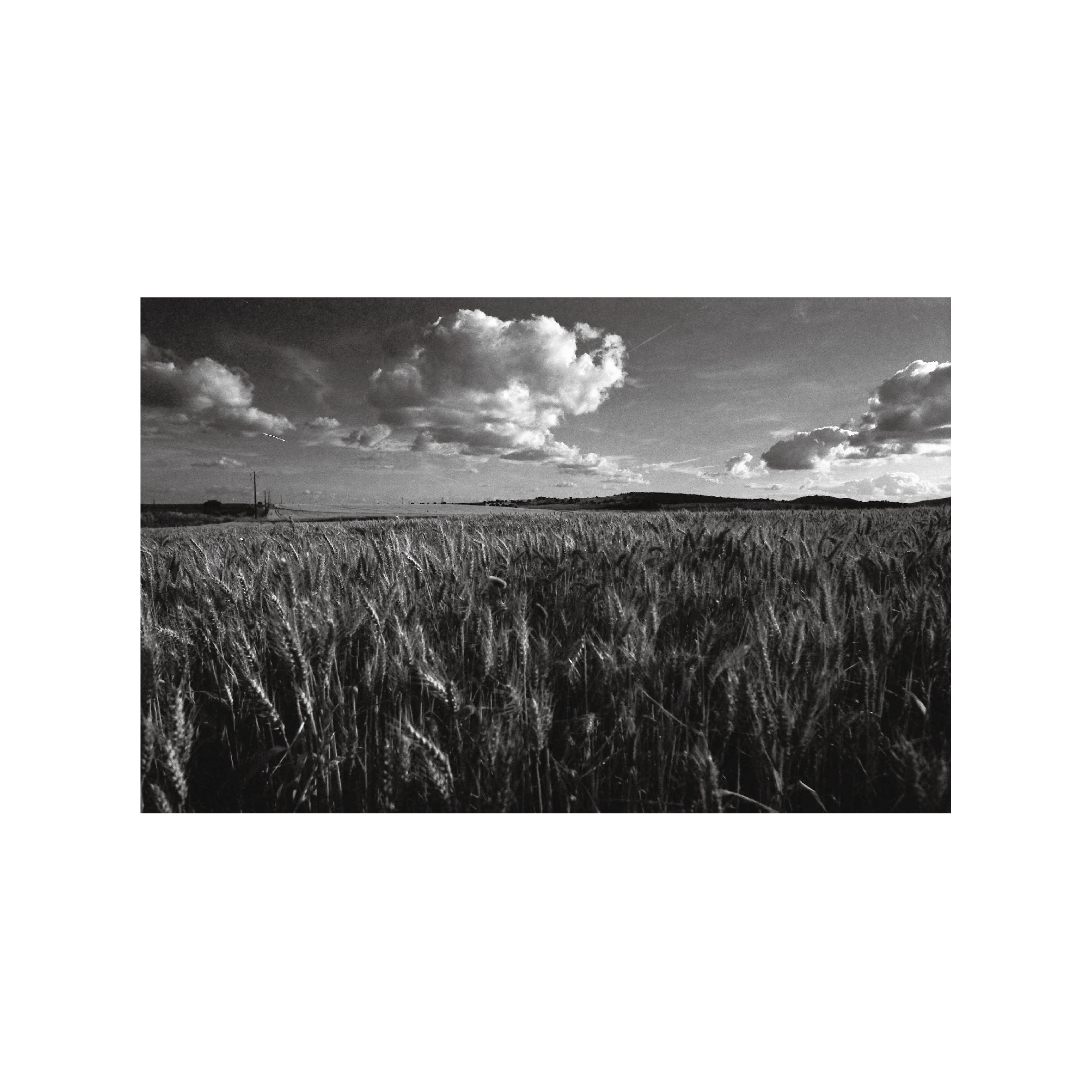 Ilford XP2 Super 400