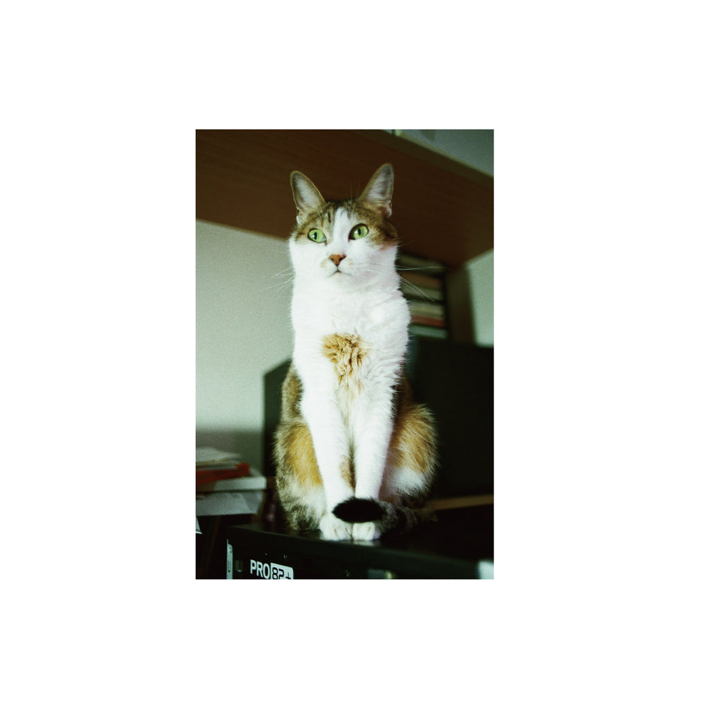Yashica 400