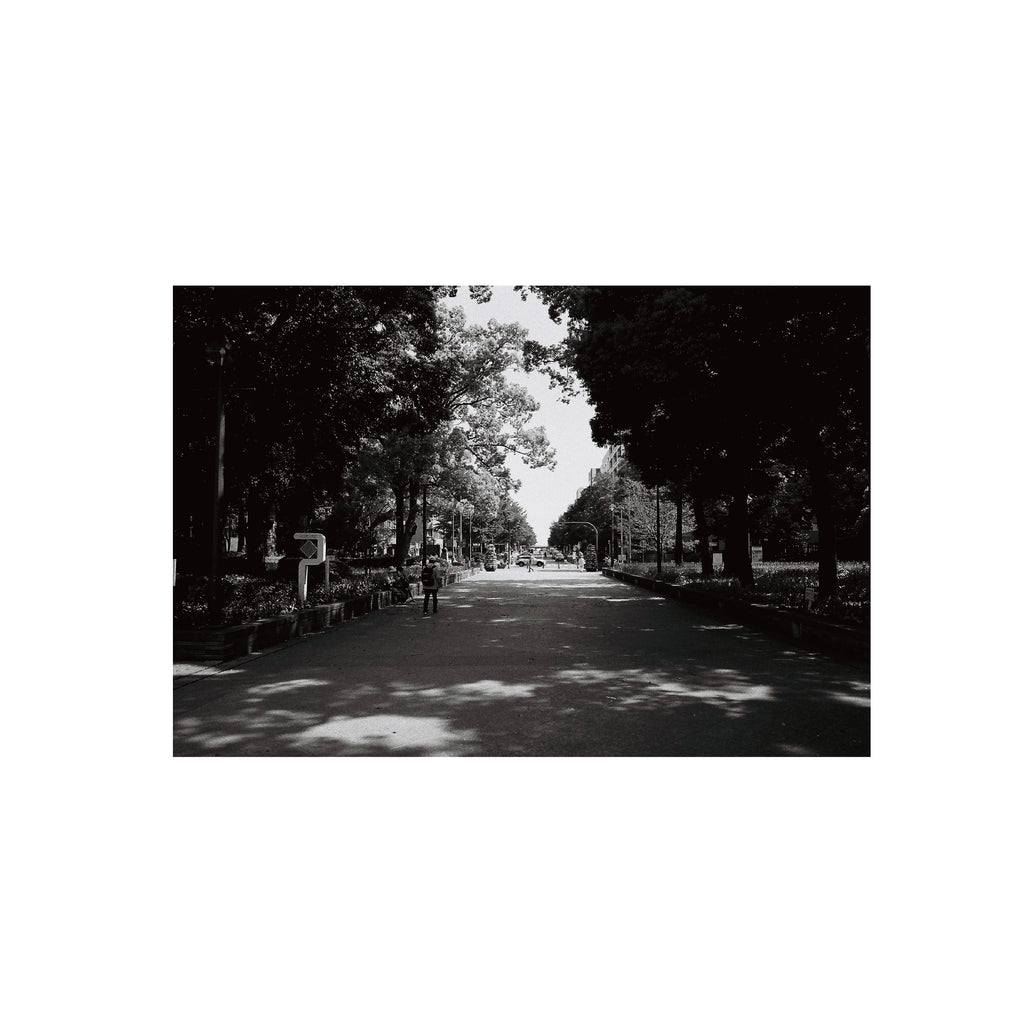 Yashica ISO400 B&W Negative Film