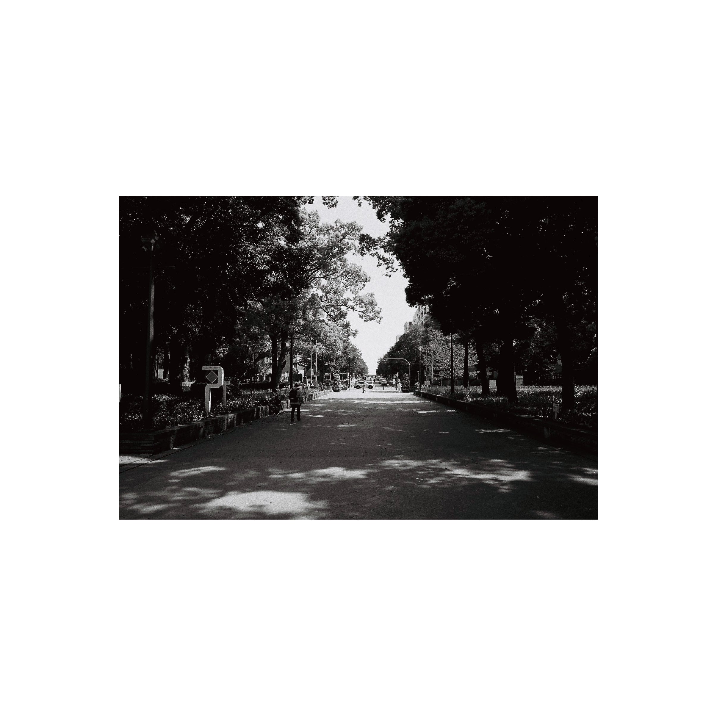 Yashica ISO400 B&W Negative Film
