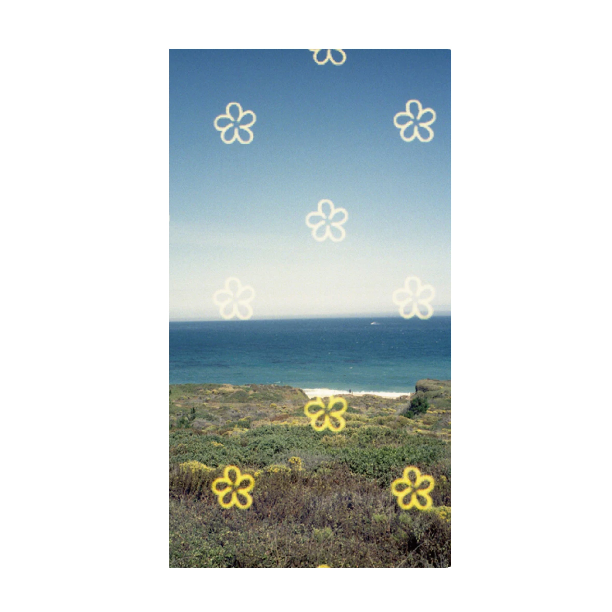 Bkifi Yellow Flower 200